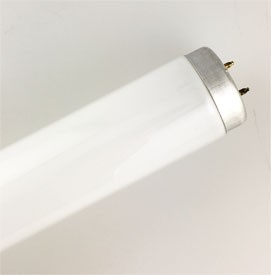 Replacement bulb for bug - replacement,